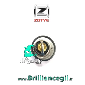 ترموستات آریو Z300 جنس وارداتی