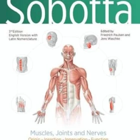 دانلود کتاب Sobotta Learning Tables of Muscles, Joints and Nerves, English-Latin: Tables to 17th Edition