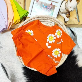 کراپ ساپورت بابونه طرح یک قدیم 