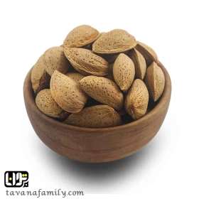بادام درختی سنگی-جستینو