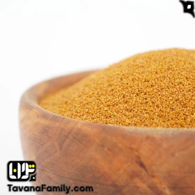 خاکشیر-جستینو