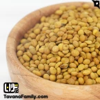 عدس بو داده