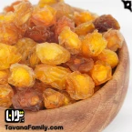 آلوچه نقلی طلایی