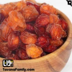 آلوچه جنگلی