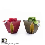 شکلات کادویی نارگیلی آچاچی
