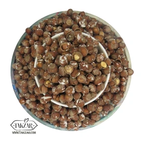 فندق خندان نمکی