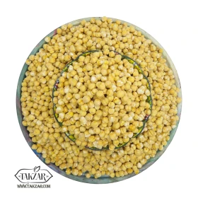نخود گل شور-جستینو