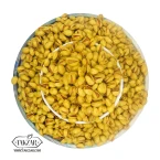 پسته احمداقایی شور انس 26-28