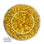 پسته اکبری دستچین شور انس 20-22