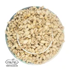 پسته اکبری شور تهرانی انس 22-24 (بدون رنگ)