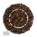 آلوچه ریز کاشان