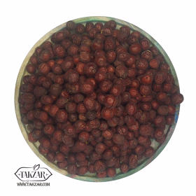 عناب درشت-جستینو