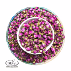 غنچه گل محمدی لاله زار
